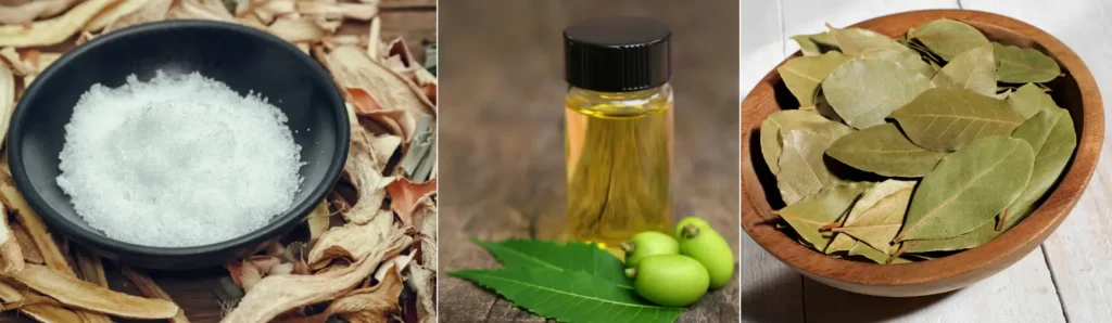 তেজপাত দিয়ে মশা তাড়ানো