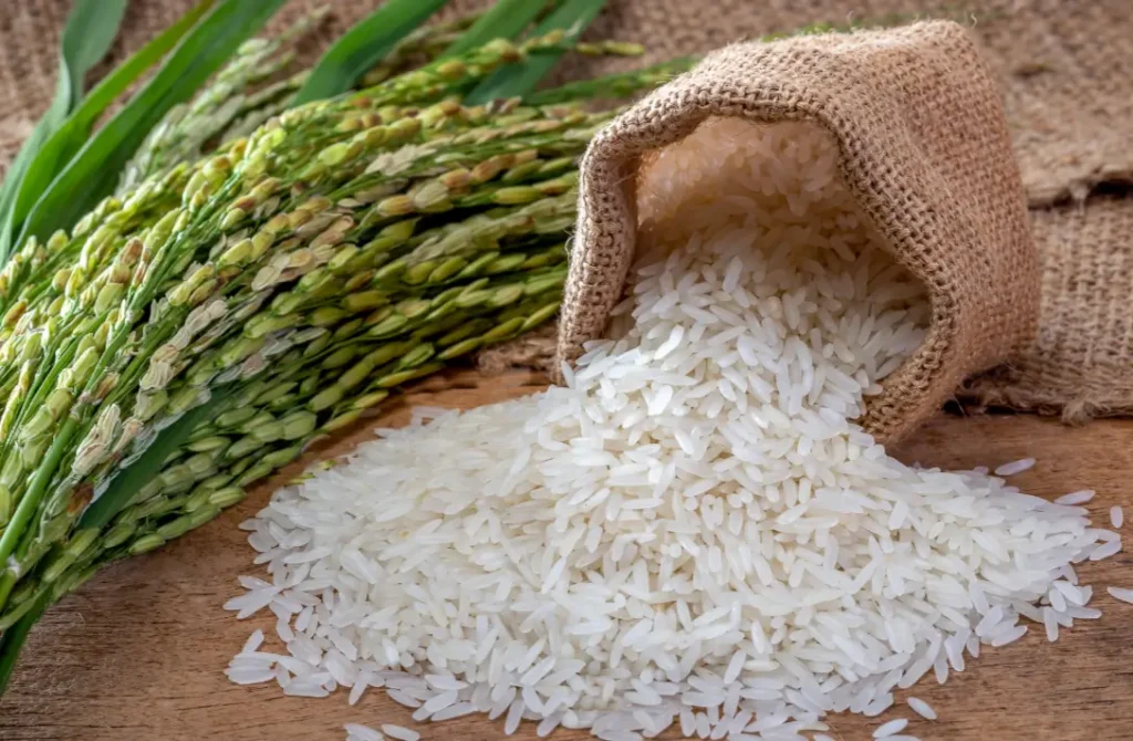 নিত্যপ্রয়োজনীয় খাদ্যশস্য