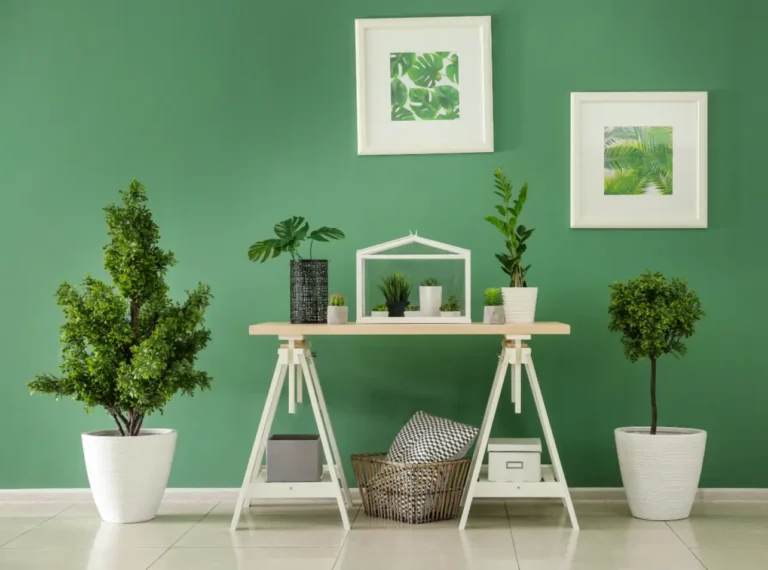 ইনডোর প্ল্যান্ট দিয়ে ঘর সাজানোর সেরা উপায়