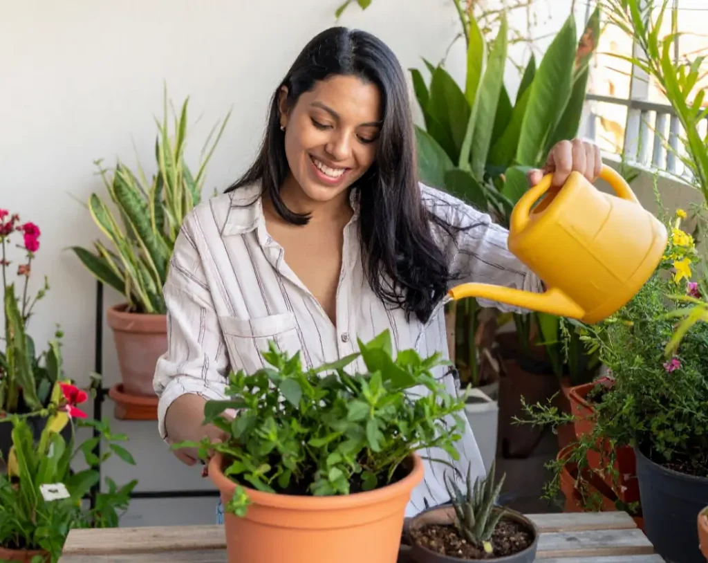 পানি ও আলো দেওয়ার নিয়ম