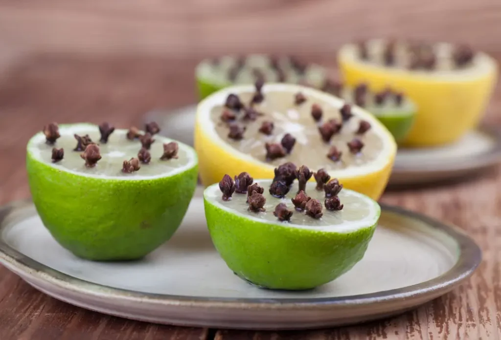 লেবু দিয়ে মশা তাড়ানো উপায়